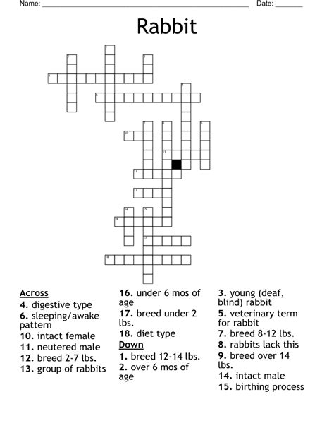 rabbit Crossword Clue